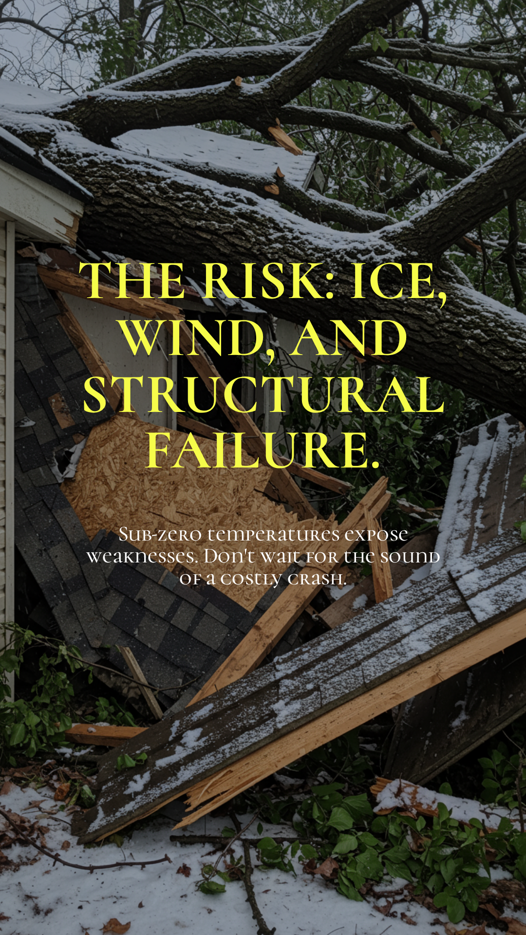 Infographic detailing ice, wind, and structural failure risks for trees